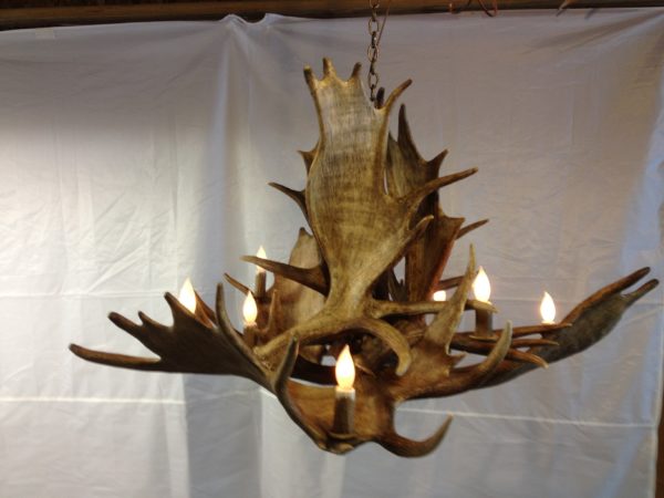 Moose chandelier