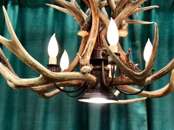 Deer chandelier with downlight