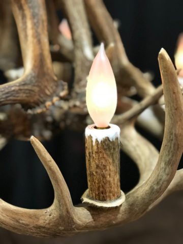 real antler light socket covers