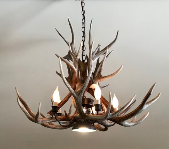 Deer chandelier with downlight