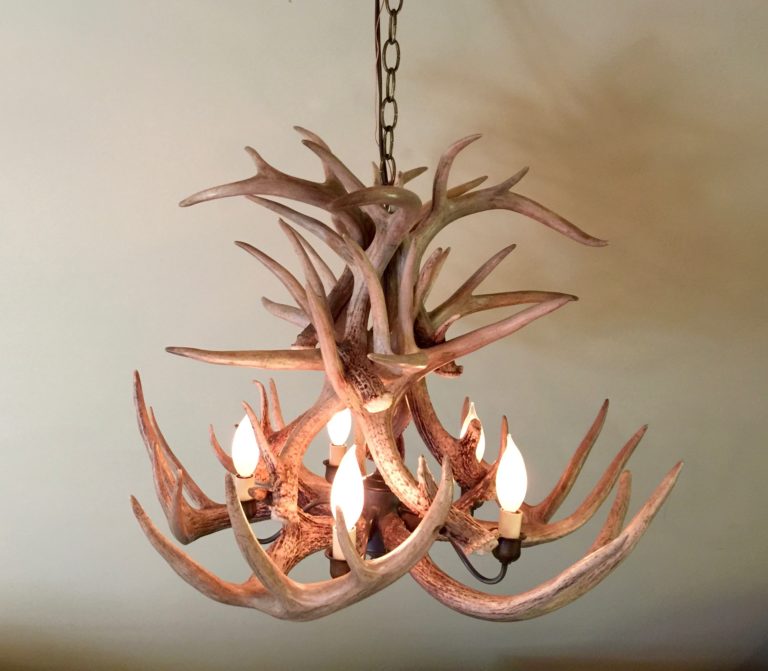 Whitetail Deer Antler Chandelier with Brass Cluster - Mad River Antler