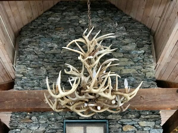 Whitetail chandelier