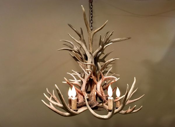 Chandelier mule-elk blend1