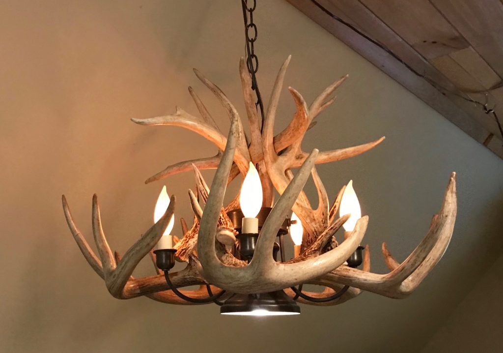 Brass antler store chandelier