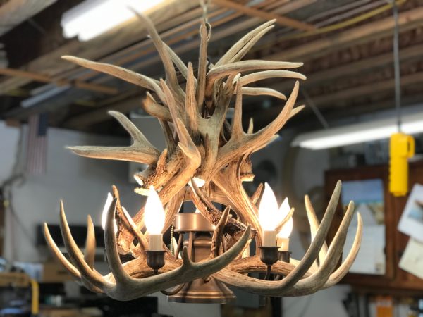 Whitetail chandelier with downlight closeup