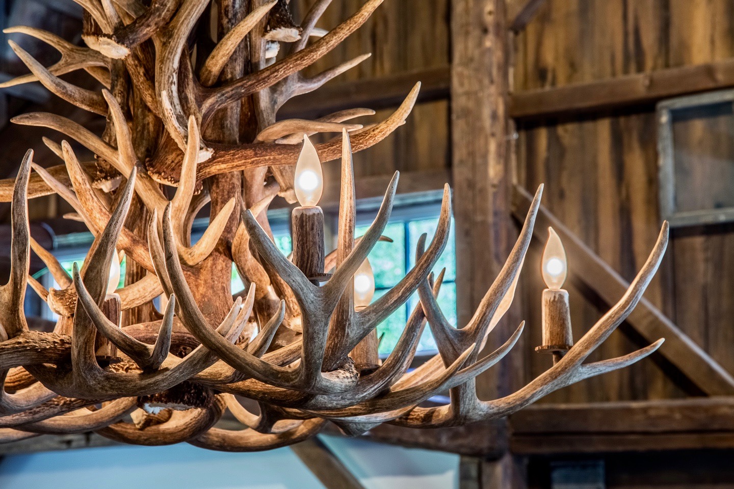 Mad House Rentals Mad River Antler