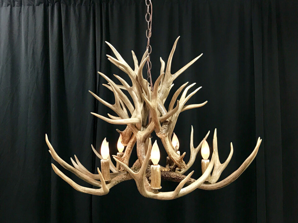 Mule deer antler chandelier