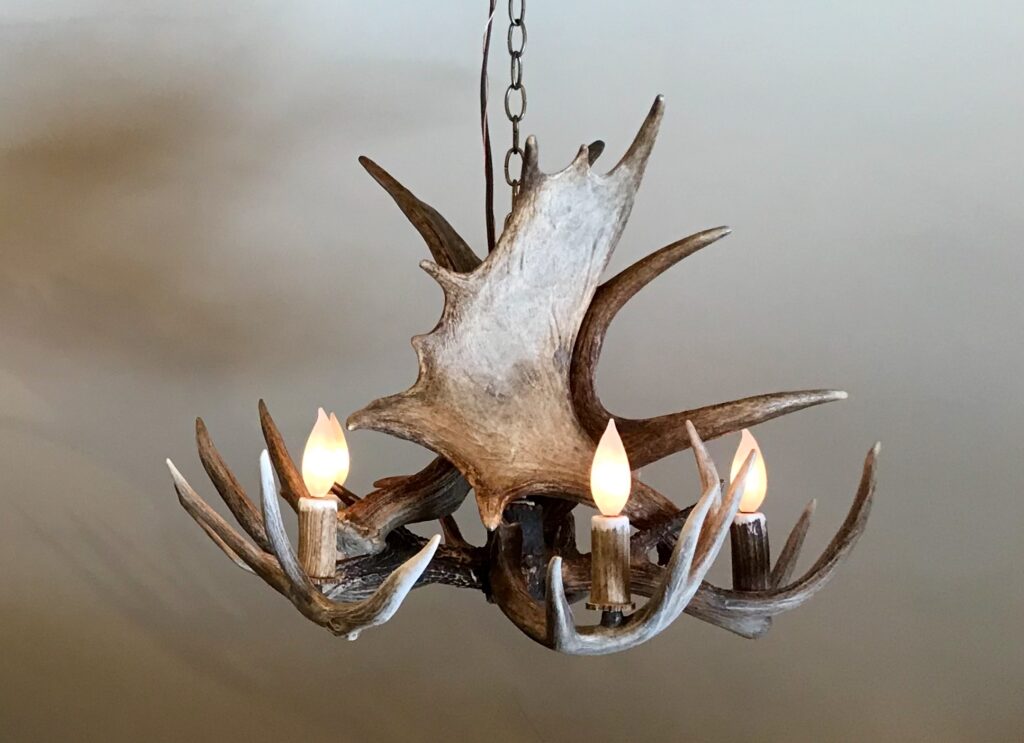 moose whitetail chandelier