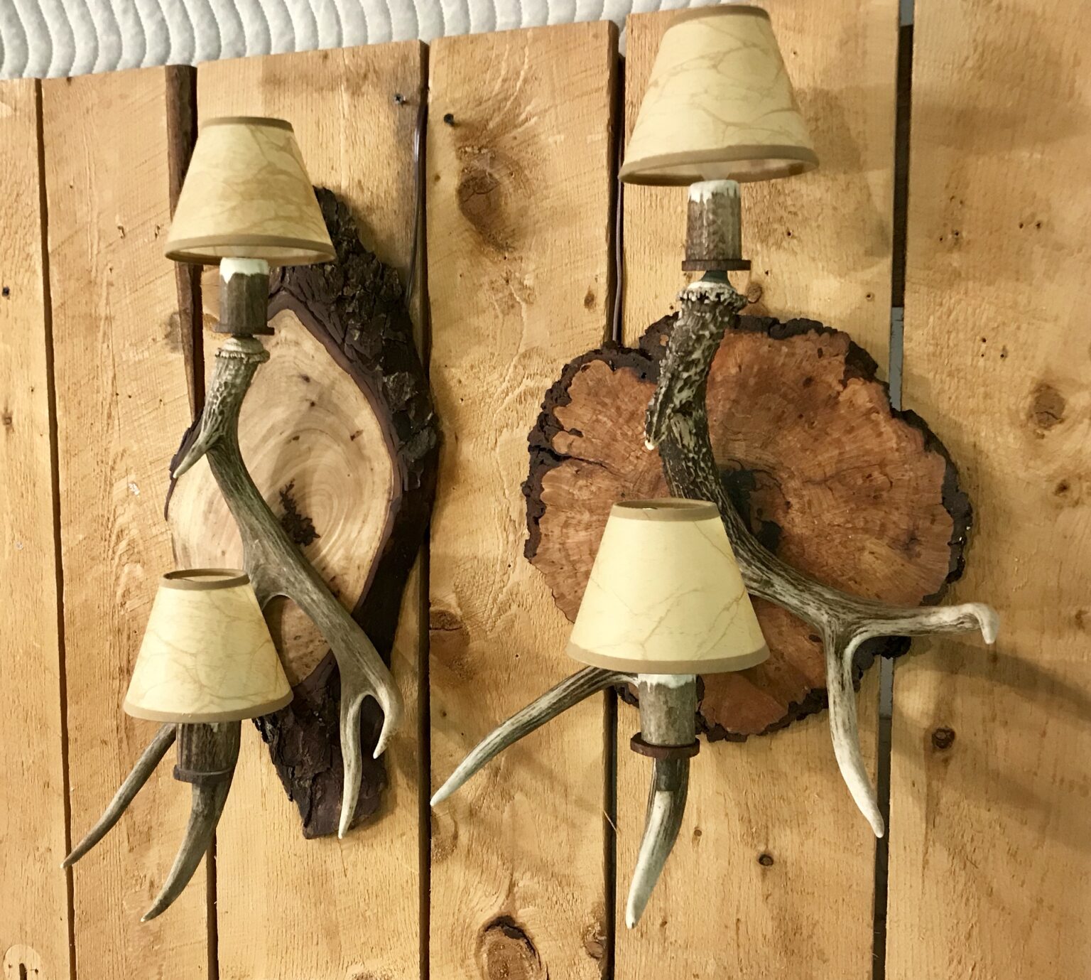 Mad House Rentals Mad River Antler