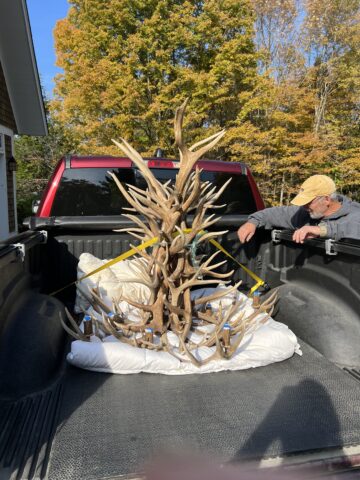 Chandelier delivery